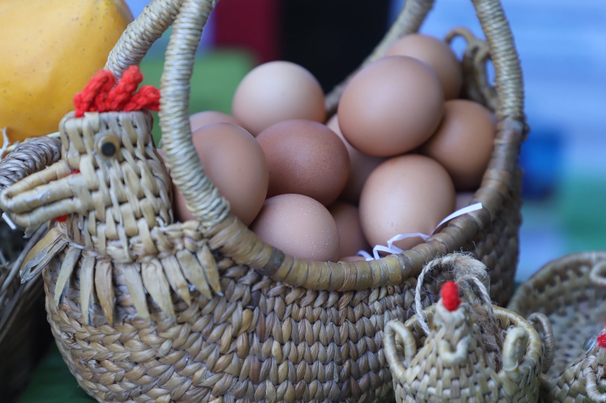 title - ”พลิกโฉมเกษตรกรสู่ผู้ประกอบการ“ ส.ป.ก.ลำพูน โชว์ความสำเร็จเกษตรอินทรีย์ครบวงจร ตั้งแต่แปลงปลูกสู่ตลาดพรีเมียม!!
